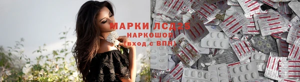 шишки Лабытнанги