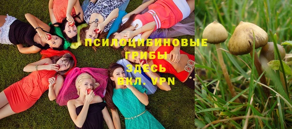 шишки Лабытнанги