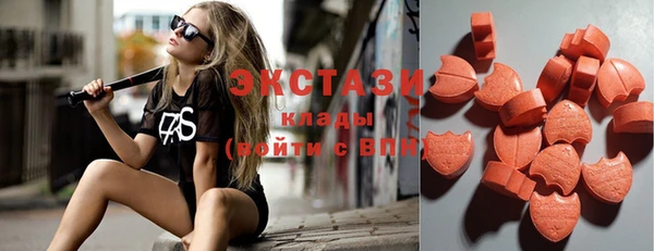 ECSTASY Лагань