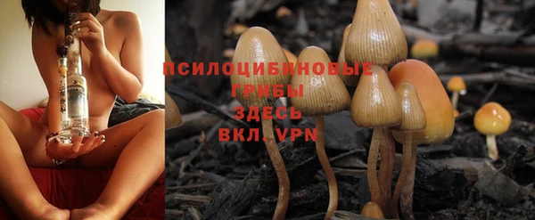 шишки Лабытнанги