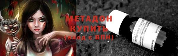 шишки Лабытнанги