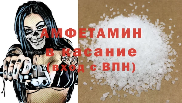 шишки Лабытнанги