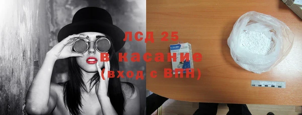 ECSTASY Лагань