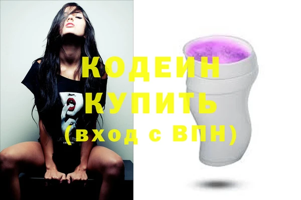 шишки Лабытнанги