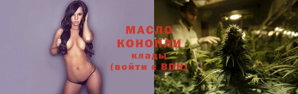 шишки Лабытнанги