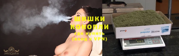 ECSTASY Лагань