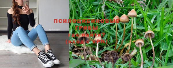 шишки Лабытнанги