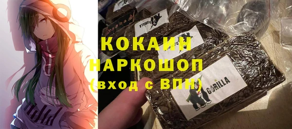 ECSTASY Лагань