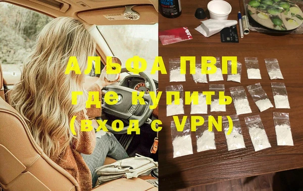 ECSTASY Лагань