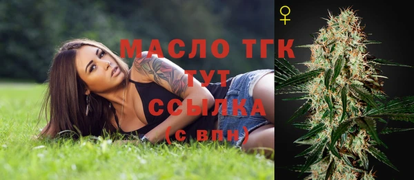ECSTASY Лагань