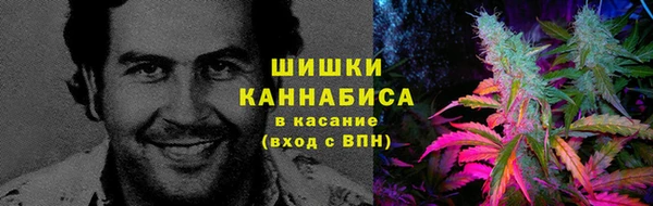 ECSTASY Лагань