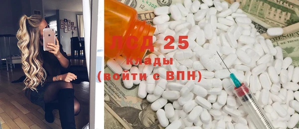 шишки Лабытнанги