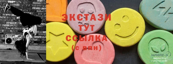 ECSTASY Лагань