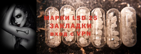 шишки Лабытнанги