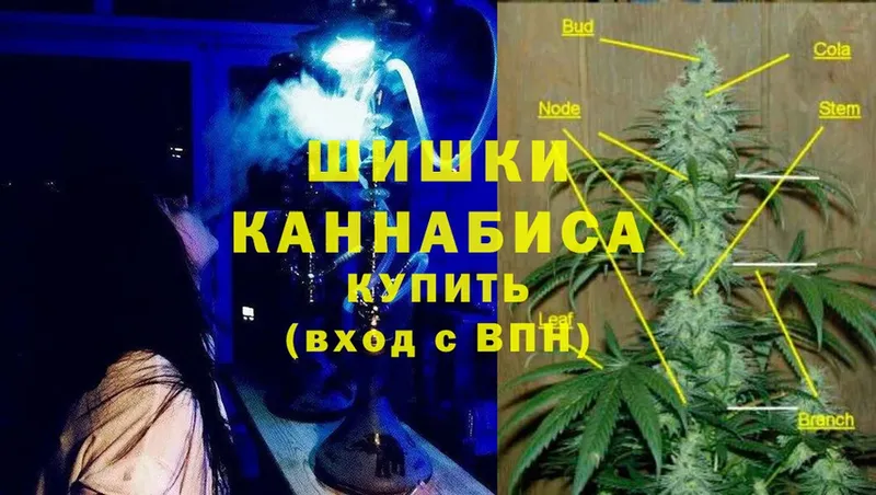 Бошки Шишки LSD WEED  OMG вход  Энем 